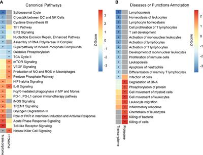 Combined Transcriptome and Proteome Leukocyte’s Profiling Reveals Up-Regulated Module of Genes/Proteins Related to Low Density Neutrophils and Impaired Transcription and Translation Processes in Clinical Sepsis